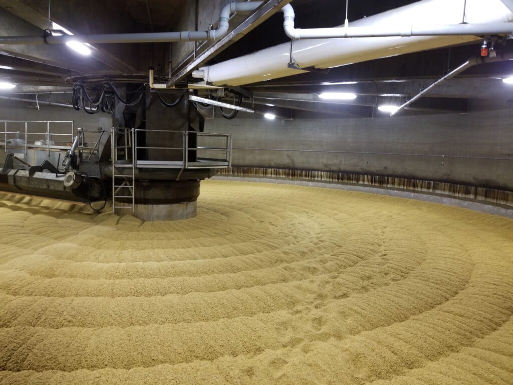 malting barley at rahr, alix alberta