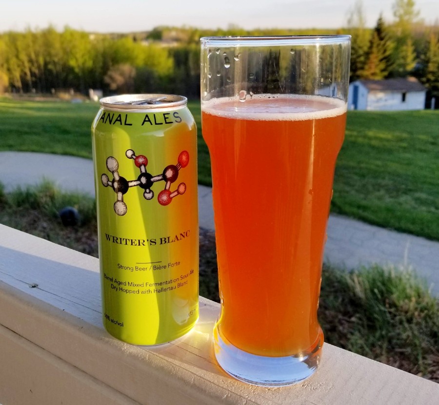 writer's blanc hopped sour ale by Trial and Ale brewing 